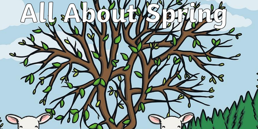 Capture 2021-02-07 11_04_31