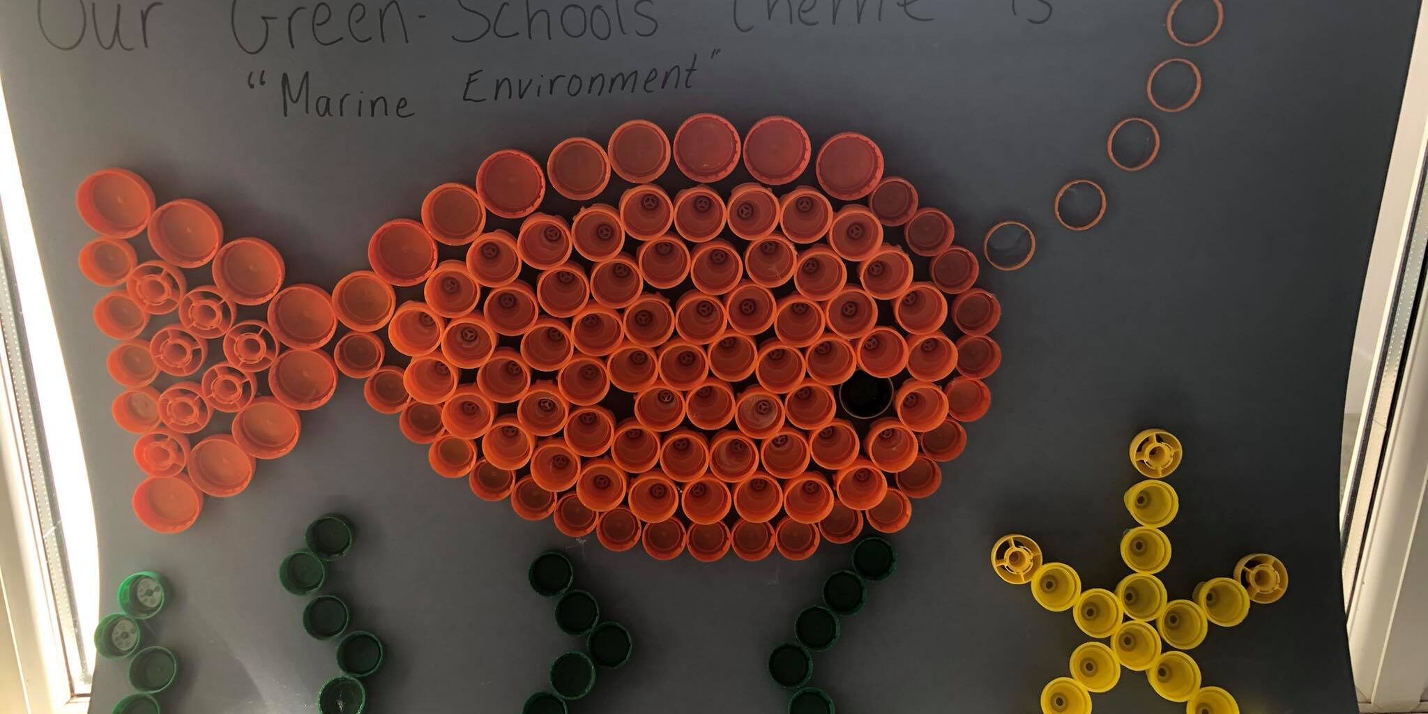 176255386_531852074662452_6805121077554243137_n