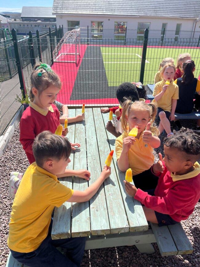 2cc6f591-c6cf-4392-aae5-7c6c313002b3