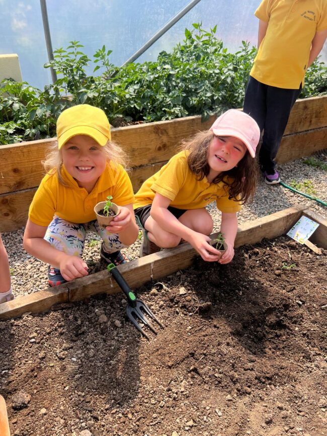 PHOTO-2025-05-24-14-36-35 4